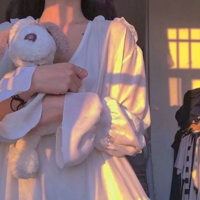 惑星公主蜥蜴骑士